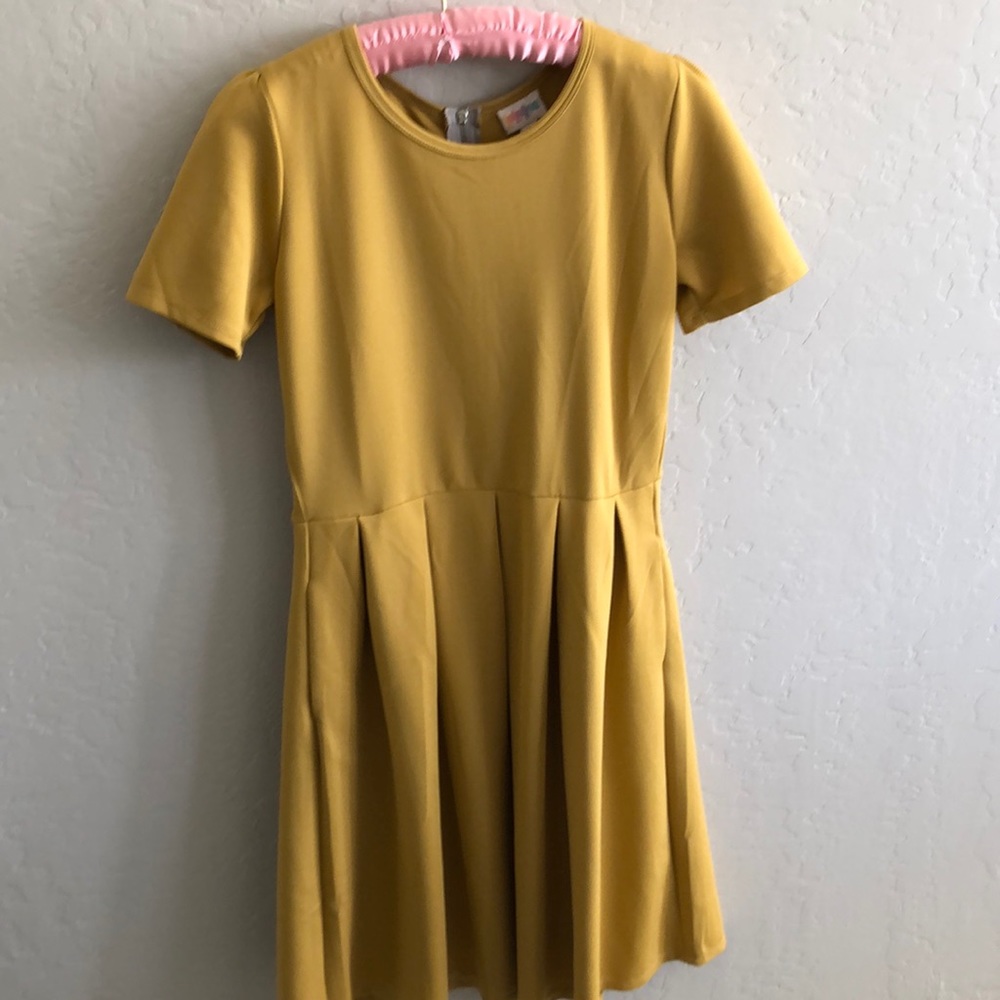 lularoe size medium Amelia dress